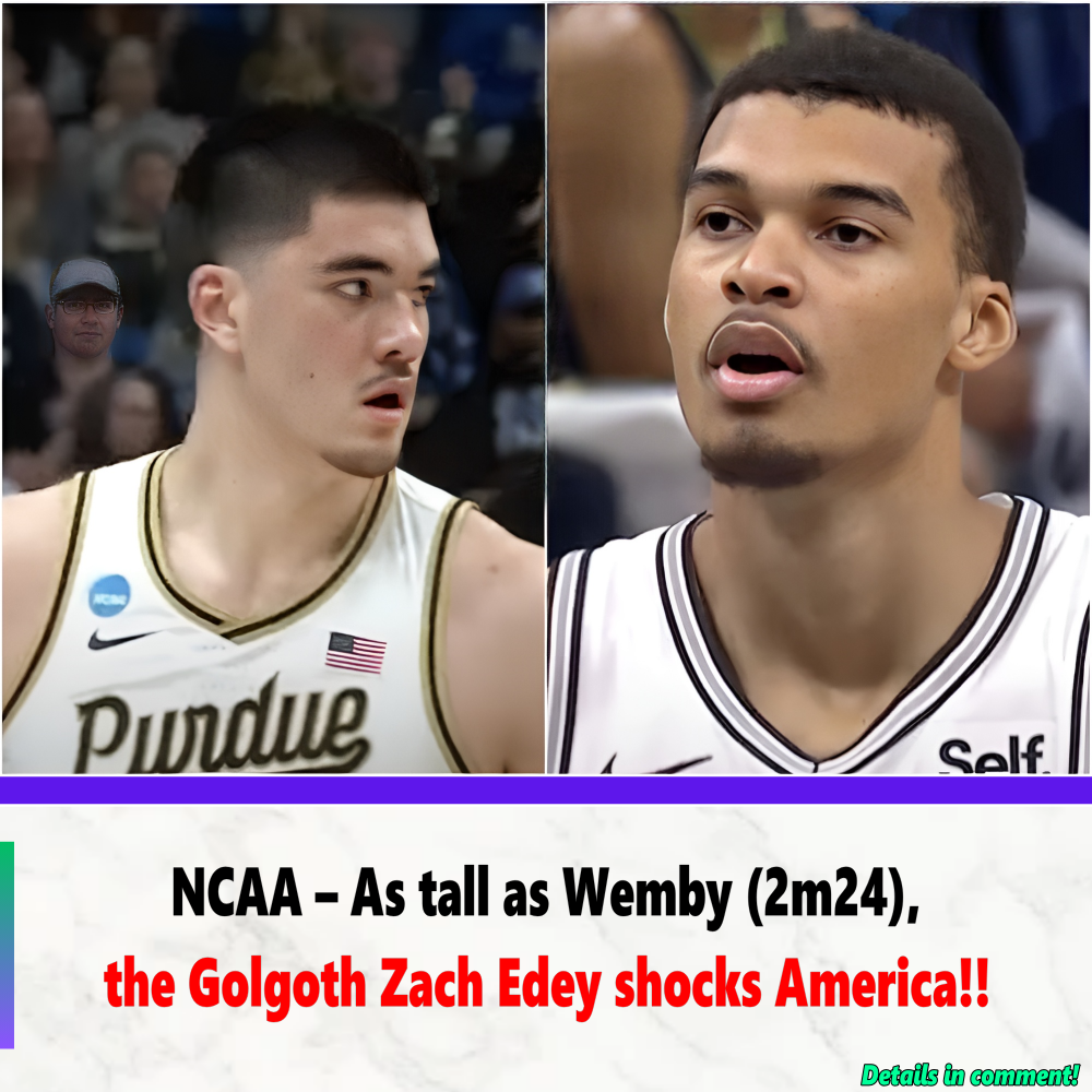 NCAA – As tall as Wemby (2m24), the Golgoth Zach Edey shocks America ...